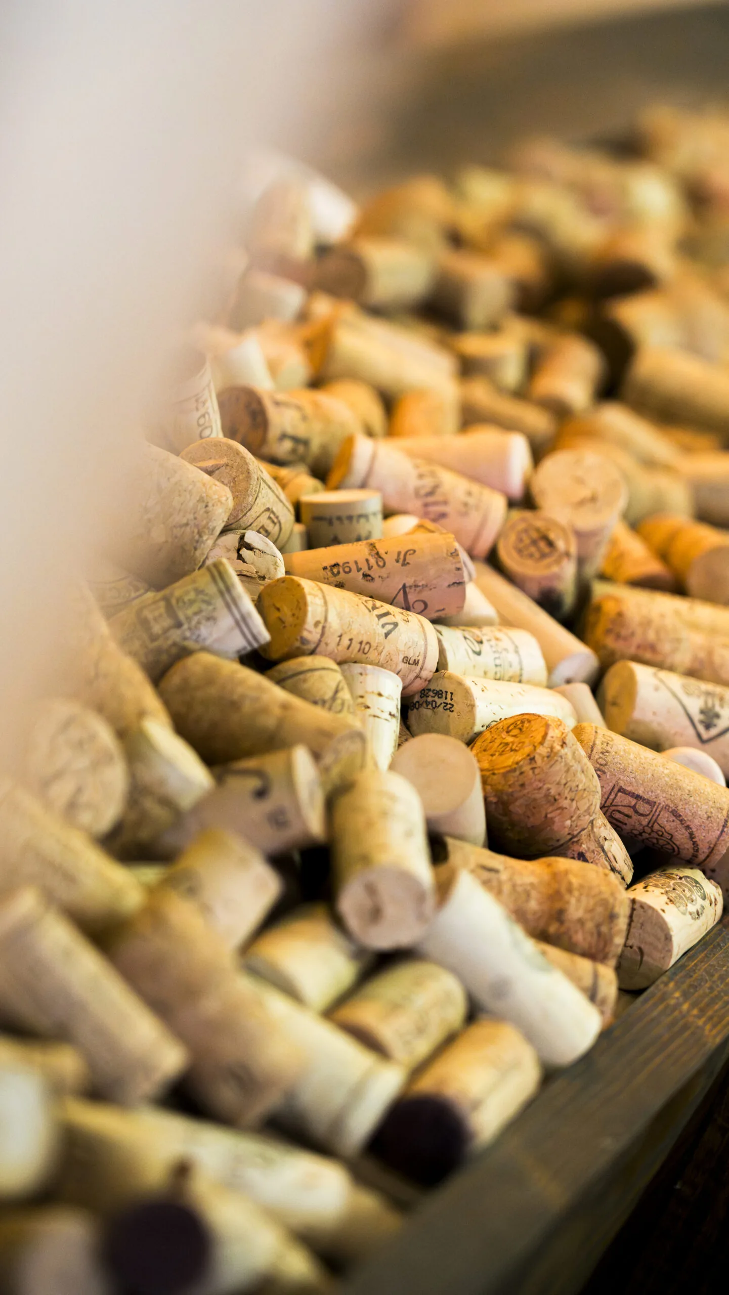 Der Weinfleck Memmingen Detailmotiv Wein