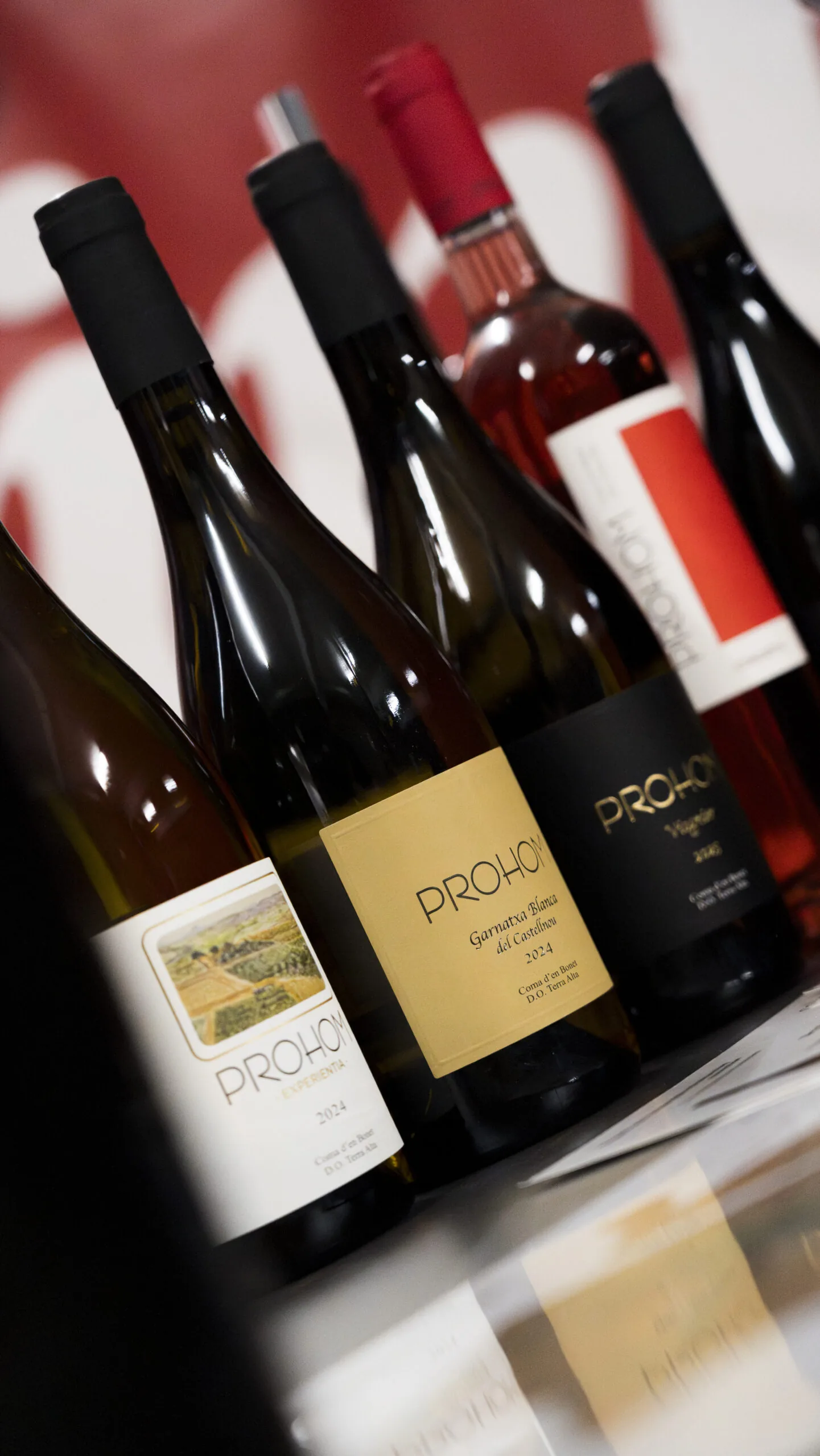 Der Weinfleck Memmingen Wein und Menschen